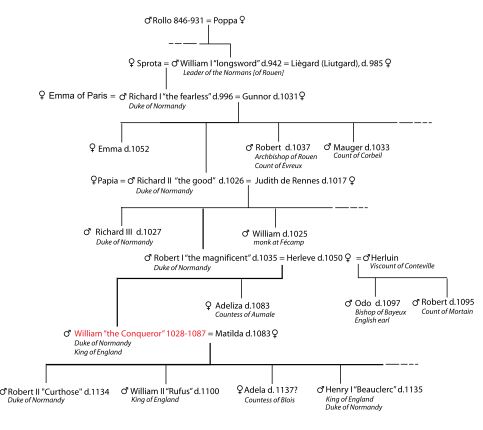 Rollo Tree Rollo Tree